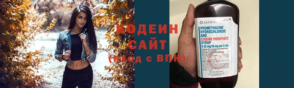дмт Переславль-Залесский