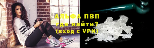 СК Пересвет