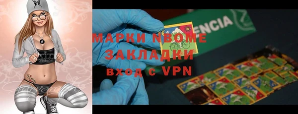СК Пересвет