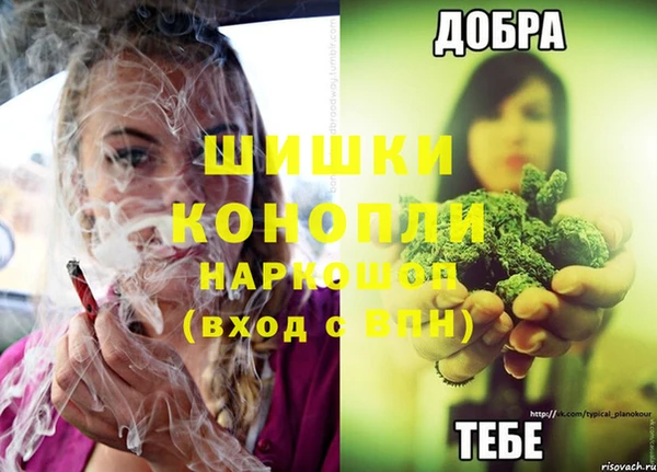МДПВ Пестово