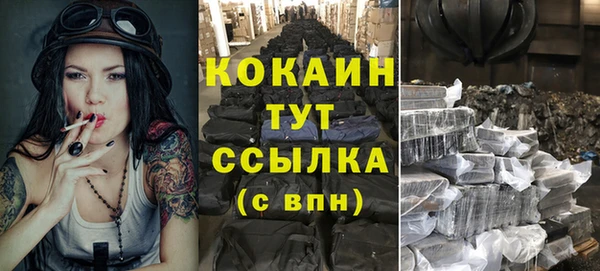 дмт Переславль-Залесский