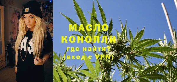 дмт Переславль-Залесский
