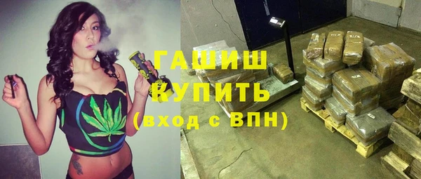СК Пересвет