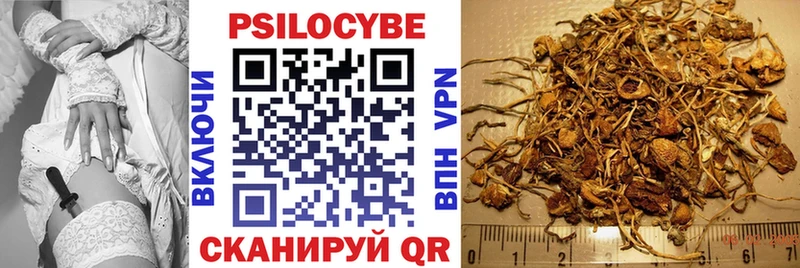 Псилоцибиновые грибы Cubensis наркота Кириллов